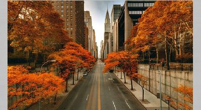 Выставка «Осень в Нью Йорке: планируем путешествие по США»