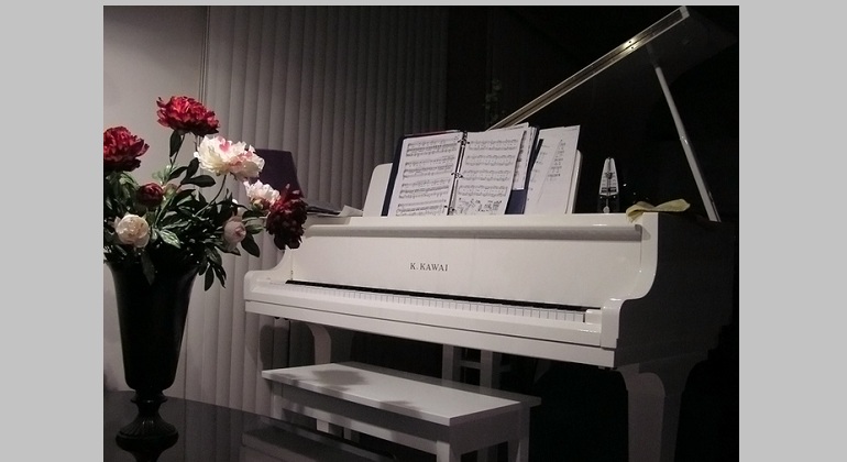 Встреча в музыкальной гостиной «У белого рояля» «К чудесным звукам вновь душа взывает»