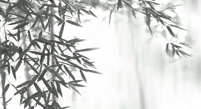 Книжная выставка «Рисунки тушью»