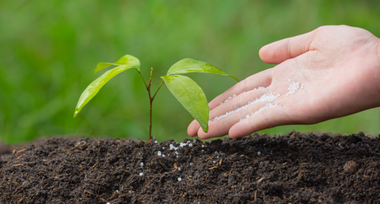 Семинар «Особенности выращивания плодовых деревьев в органическом земледелии»