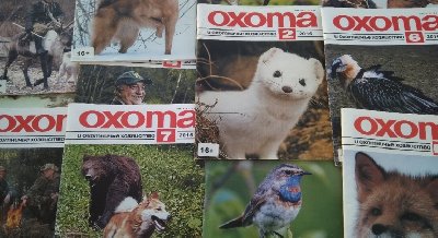  Выставка одного журнала: «Охота и охотничье хозяйство» 