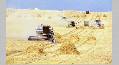 Книжная выставка «Свет Унгинской долины» (к 80-летию Нукутского района)
