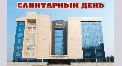 Санитарный день