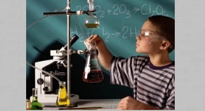 Выставка «Science for Everyone» («Наука для всех»)