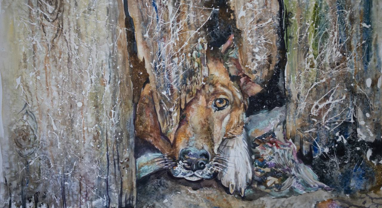 Всюду жизнь