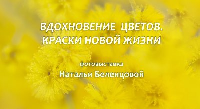 Виртуальная фотовыставка