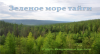 Выставка «Зеленое море тайги»