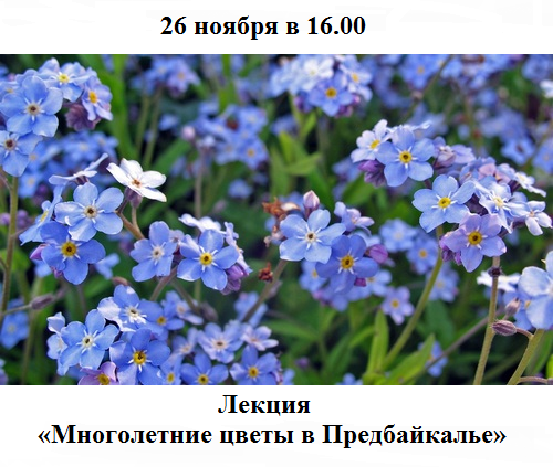 Многолетние цветы в Предбайкалье