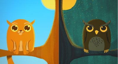 Читательский клуб «TheOwl’sHour/ Совиный час» 