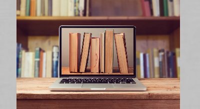  Консультация по работе с приложением «ЛитРес» 