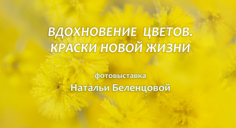Виртуальная фотовыставка Виртуальная фотовыставка