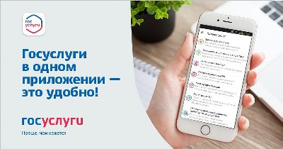 Консультация по основам работы с мобильным приложением «Госуслуги»