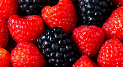 Практические основы ухода за плодово-ягодными культурами в органическом земледелии