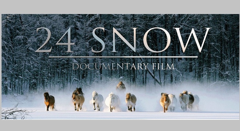 Просмотр фильма «24 снега» Просмотр фильма «24 снега»