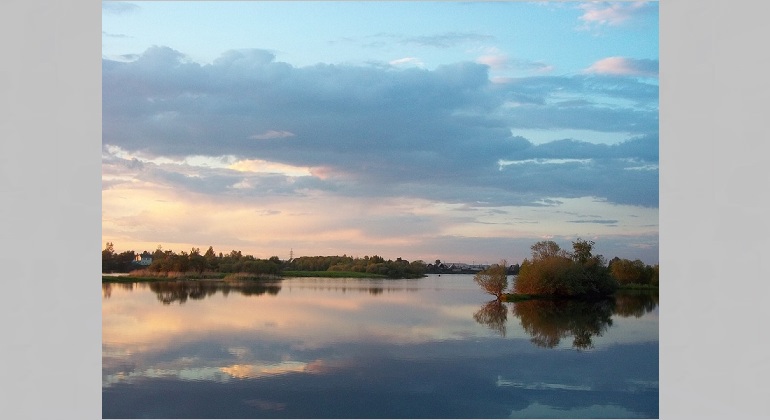 Выставка «Экология водных ресурсов» Выставка «Экология водных ресурсов»