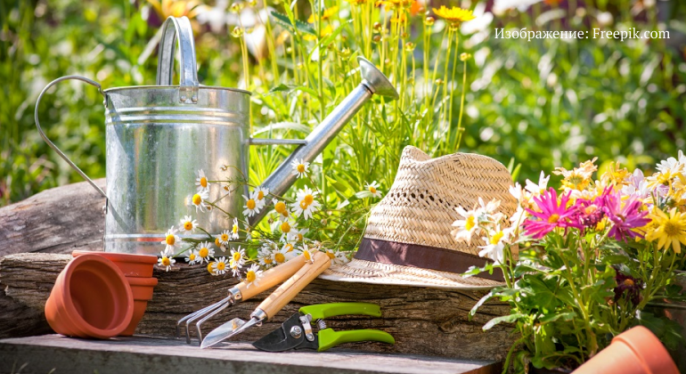 Уход за садовыми культурами Уход за садовыми культурами