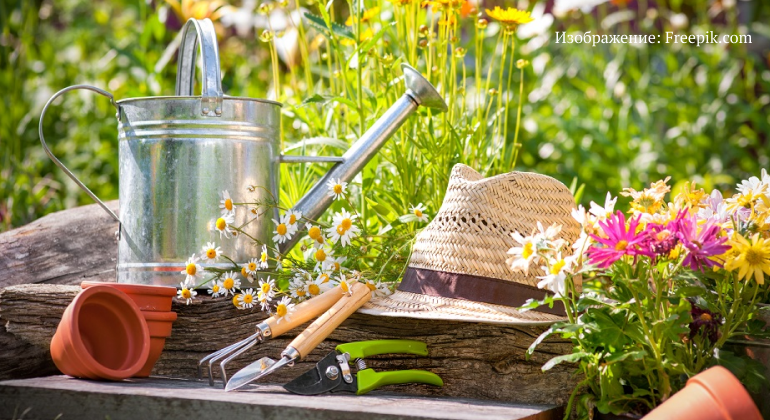 Уход за садовыми культурами