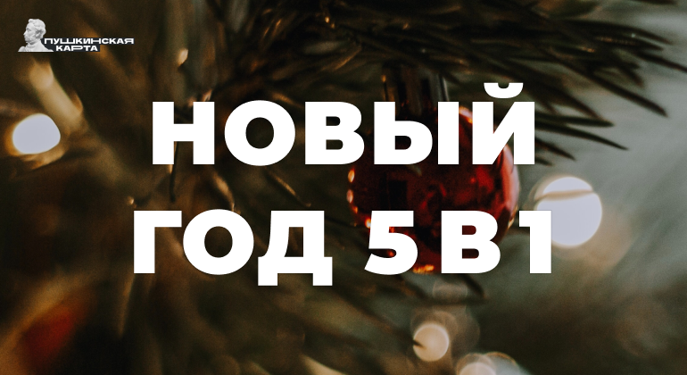 Новый год «5 в 1» Новый год «5 в 1»