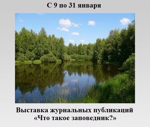 Что такое заповедник? Что такое заповедник?