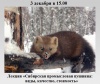 Сибирская промысловая пушнина:  виды, качество, стоимость