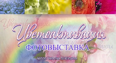 BiblioArt. Традиции и современность