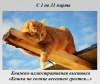 Кошка на солнце весеннем греется...