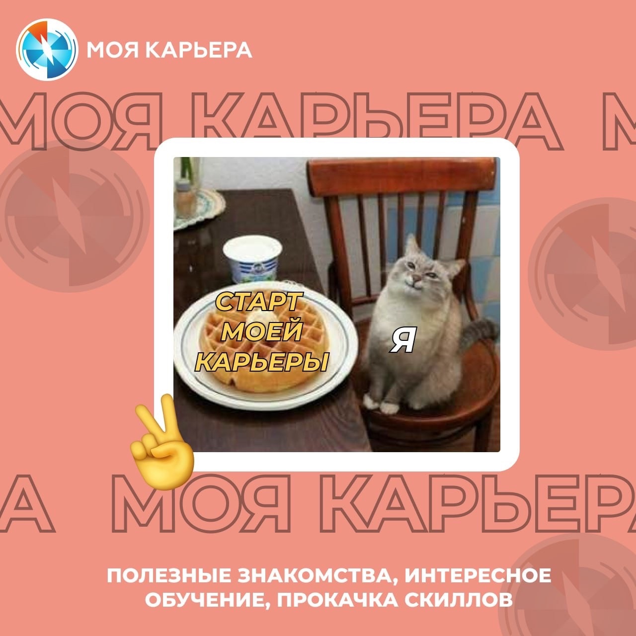 sAU5YrEQDXU.jpg